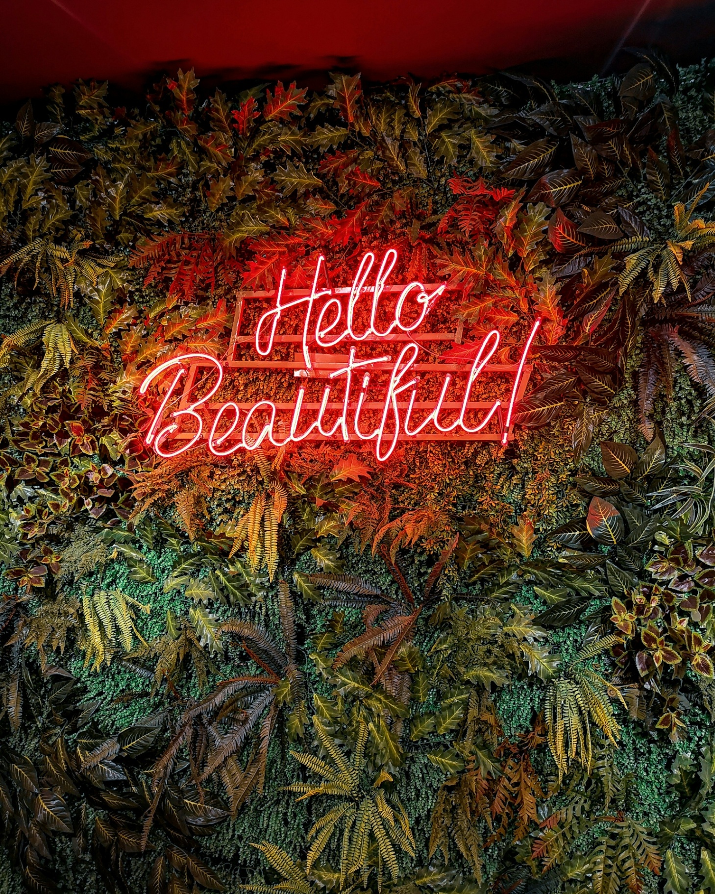 Hello Beautiful neon foliage wall